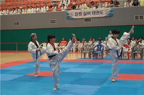 102세 한종상 옹 출전, 전국실버태권도대회 13일 진천에서 개최